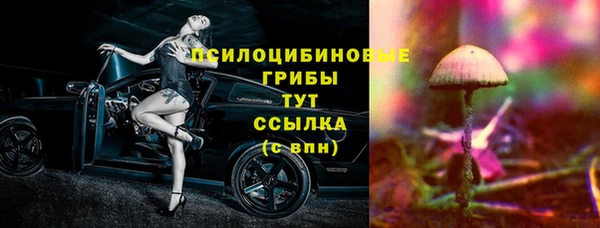 шишки Гусев