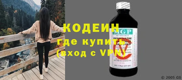 шишки Гусев