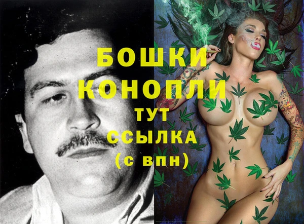 спайс Гусиноозёрск