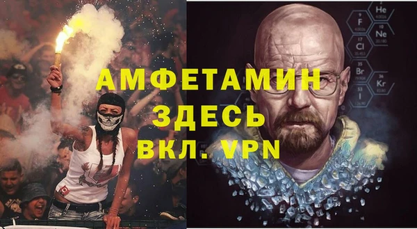 шишки Гусев